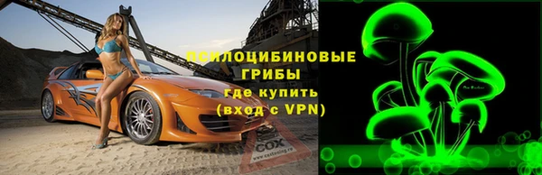 соль ск Заводоуковск