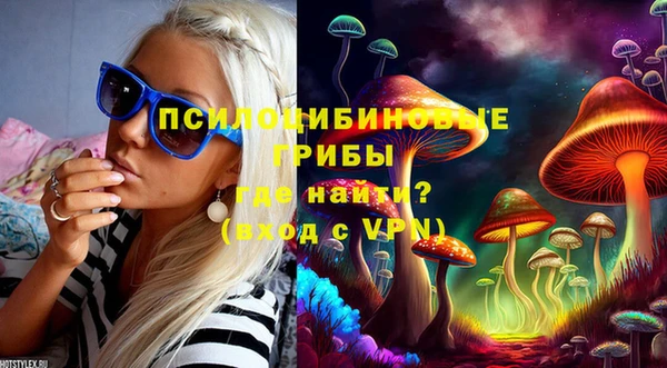 гашик Карпинск