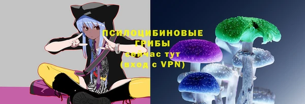 твердый Заволжск
