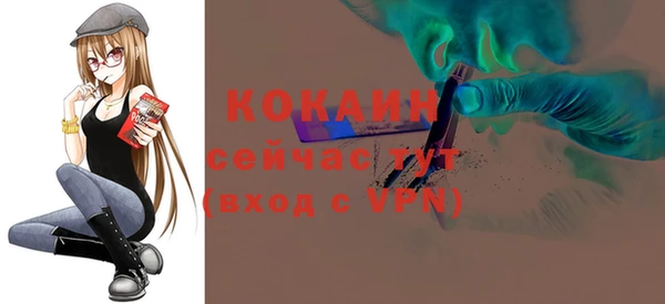 соль ск Заводоуковск