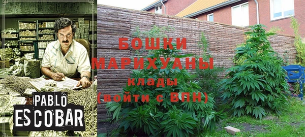 бутират Анжеро-Судженск